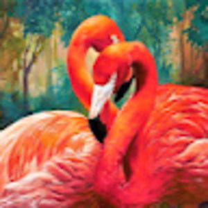 Meet your Posher, Brenda